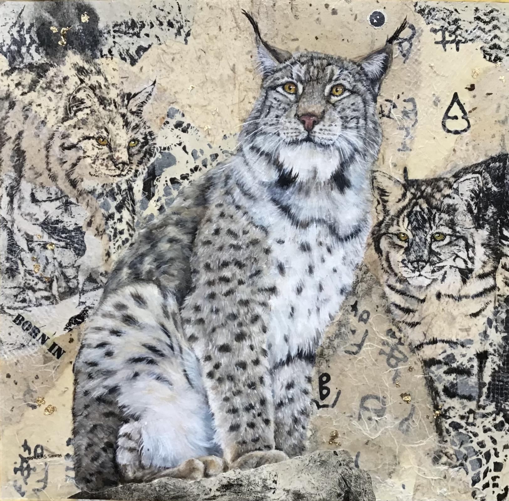 Lynx